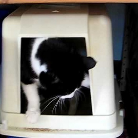 Meet your Posher, Regina - Picture 1 of 1